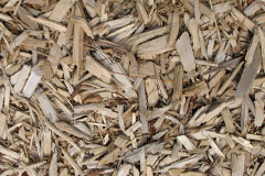 biomass boilers Sandygate